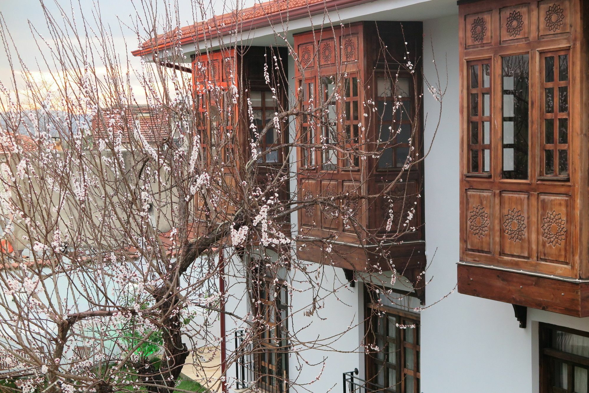 Ephesus Paradise Hotel Selçuk Exterior foto